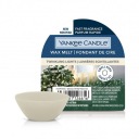Blikajúce svetielka s vôňou Yankee Candle