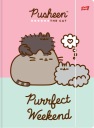 Pusheen Bambino zakladač A4 s gumičkou