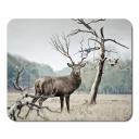 Podložka pod myš WILD ANIMALS DEER