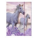 Kartónová zložka A4 s gumičkou I LOVE HORSES HORSES DERFORM