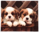 Utierka z mikrovlákna na čistenie detských okuliarov s potlačou DOGS