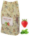 DELIZIA CUKROVINKY PRE KONE JAHODA/MÄTA 600G