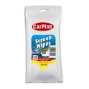 CARPLAN utierky na čistenie skla 25 ks.