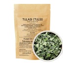 TULSI (Tulasi) SVÄTÁ BAZILKA Stres Imunita Vitalita