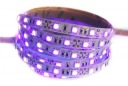 LED pásik IP20 12V 5050 14W UV ultrafialový 1mb