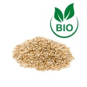 Šťavnatý biely sezam, BIO - 0,5 kg balenie