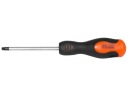 C5468 TORX SKRUTKOVAČ T25 x 100 mm CR-MO RICHMANN