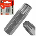 BROTY PRE SKRUTKOVAČE TORX TX-40 25mm 2ks