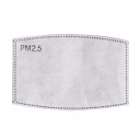 PM 2,5 FILTER PRE OCHRANNÚ MASKU S UHLÍKOM 5 VRST.