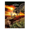Školský skladačka A4 s gumičkou DINOSAURS Derform