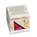 TULIPÁNOVÝ VOSK (TULIPÁNY) - 8 ks