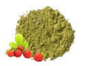 Jahoda Matcha 50 g