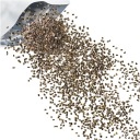 CHIA SEEDS Španielska šalvia 500g oriešok triedy A