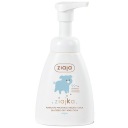ZIAJKA PENA NA UMÝVANIE ÚST, RÚK A TELA 250ml