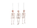 Závesná dekorácia Halloween Skeletons 12cm 3ks