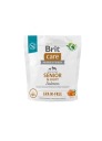 BRIT CARE GRAIN FREE SENIOR LIGHT LOSOS 1kg