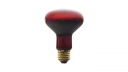 E27 infražiarič 100W 80mm R-80 pre terárium PRO-1465
