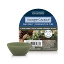 SILVER SAGE & PINE Yankee Candle vonný vosk 22g