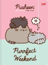 Zložka A4 s gumičkou Pusheen Mix of St. Majewski designs