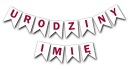 Set Banner Flags Birthday Any Name Pink