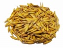 Žltý kŕmny ovos so šupkou 5 kg