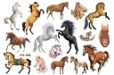 Odnímateľné tetovanie pre deti HORSES CG542