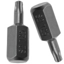BIT Hrot 10MM TORX 25x30MM 