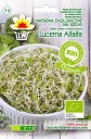 Semená klíčkov Alfalfa Toraf 20g EKOLOGICKÉ BIO