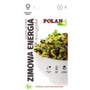 ZIMNÁ ENERGIA zmes semien na KLÍČKY 20g