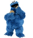 NÁLEPKA NA OKENNÉ SKLO ZRKADLO SEZAMOVÝ ULIČ COOKIE MONSTER