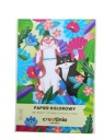 FAREBNÝ PAPIER CEATINIO A4/10K