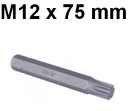 Bit 10mm RIBE M12 x 75mm D10R75M12A Jonnesway