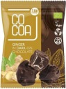 BIO ZÁZVOR kandizovaný v raw tmavej čokoláde RAW VEGAN 70 g kakaa