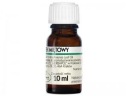 HERBAPOL Mätový olej 10 ml