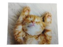 Kitty handrička na okuliare z mikrovlákna