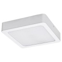 Prisadené LED stropné svietidlo 12W SHAUN 3174 Rabalux