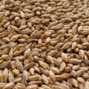 Karamel Pils slad 1kg Bestmalz - Nestrelený
