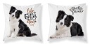 Obliečka na vankúš Border Collie 40x40 z mikrovlákna