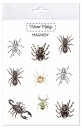 ARACHNIDOVÉ MAGNETY