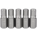 C3257 IMBUS BIT 14 MM 30x10 MM 5 KS STEEL S2 RICHM