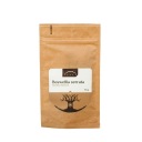 Boswellia serrata indické kadidlo 50g