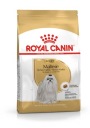 Maltese (Maltese) Adult 500g ROYAL CANIN