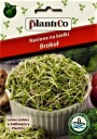 SEMIENKA PRE BROKOLICOVÉ KLÍČKY, BOHATOSŤ VITAMÍNOV, semená PlantiCo š. 2026