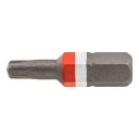 WURTH SKRUTKOVÝ BIT RW20 ASSY BIT 25MM 06147020