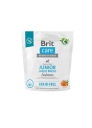BRIT CARE GRAIN FREE JUNIOR LARGE LOSOS 1kg