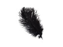 EROTICKÉ PIERKO Z PŠTROSA 20 CM PREDOHRA