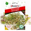 KLÍČKY SEMENÁ FITNESS MIX FAZOLA HRACH ŠOŠOVICA