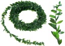Boxwood Garland Ivy Umelé zelené listy Communion Wedding 7,5 m