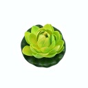 Lekno do jazierka, zelené, 10 cm