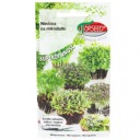 Špenátové semienka microgreens 5g - Klíčky Torseed